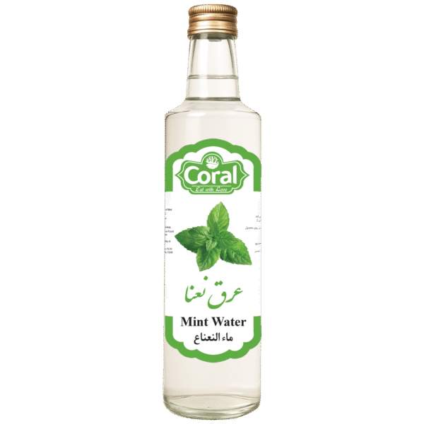 Mint Herbal Water 500 ml